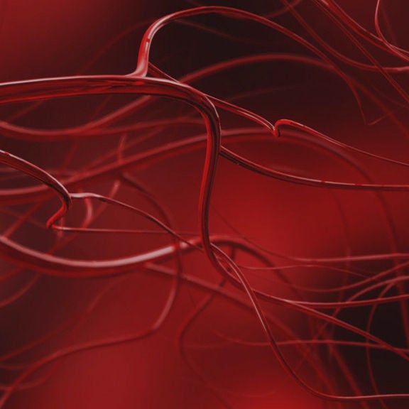 Angiologie, Blutgefäße