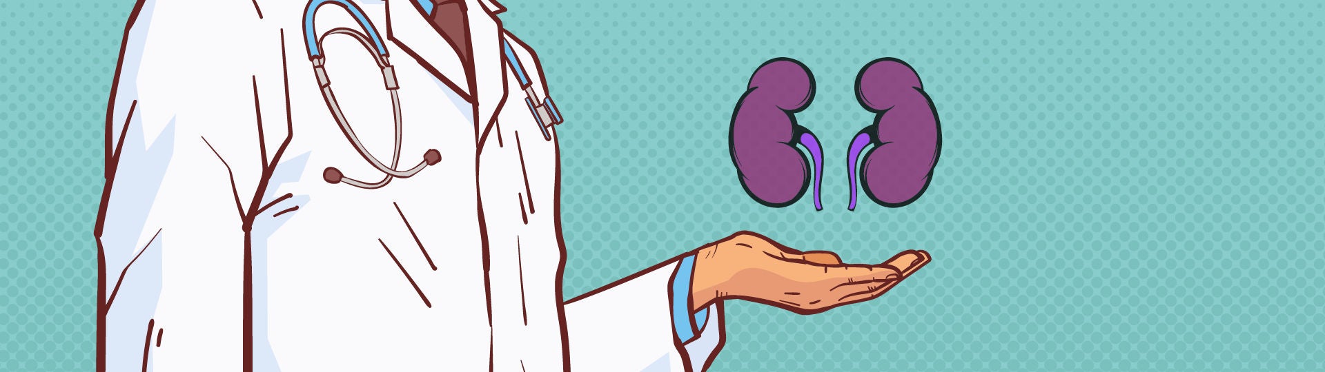 Grafik Arzt hält die Hand auf über der die Nieren dargstellt sind