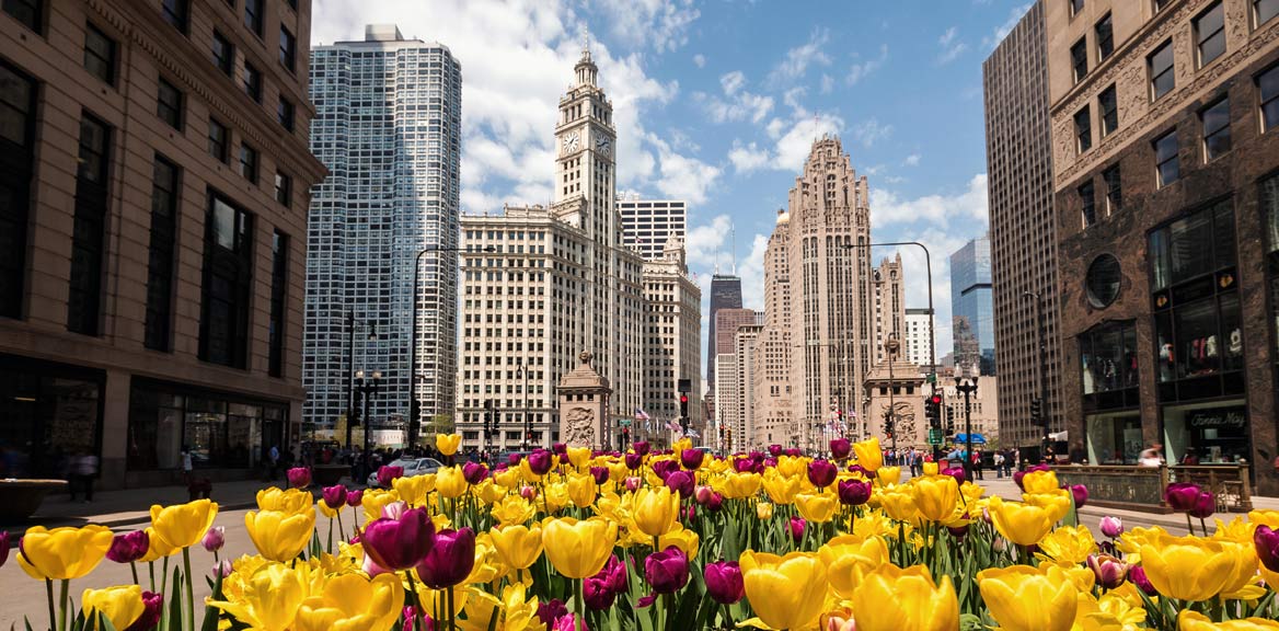 Der ACC 2025 findet in Chicago statt