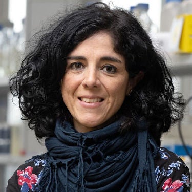 Prof. Laura Zelarayán