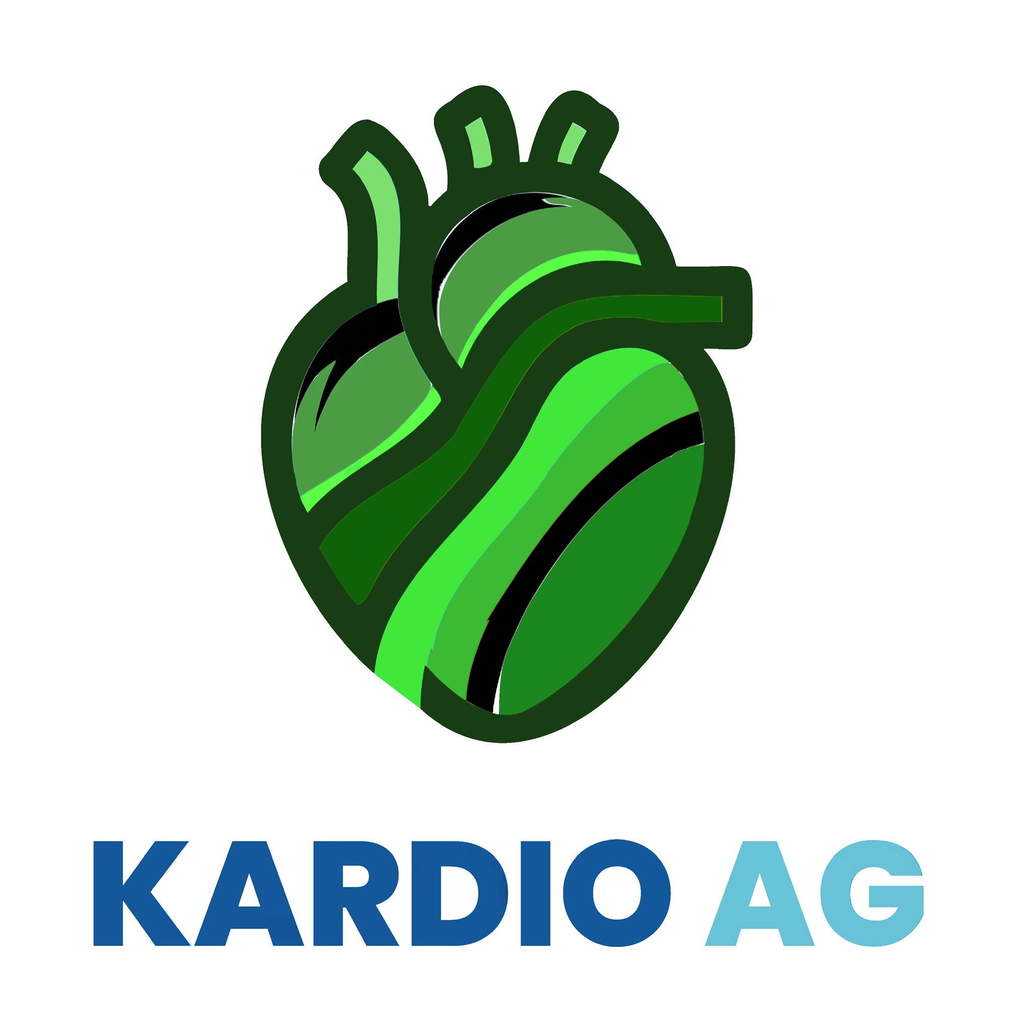 Logo der Kardio-AG Aachen in Form eines grünen anatomisch korrekten Herzens