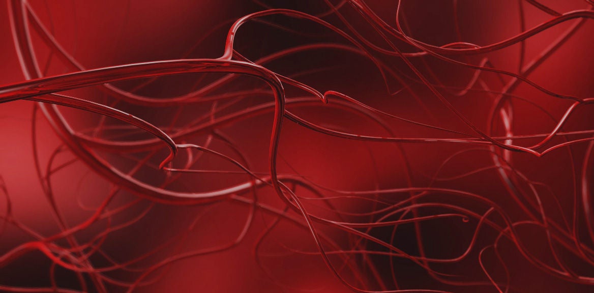 Angiologie, Blutgefäße