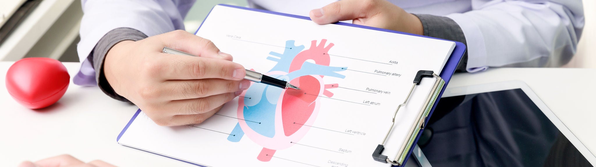 Ein Arzt zeigt mit einem Stift auf ein Bild des Herzens und deutet auf den linken Vorhof.