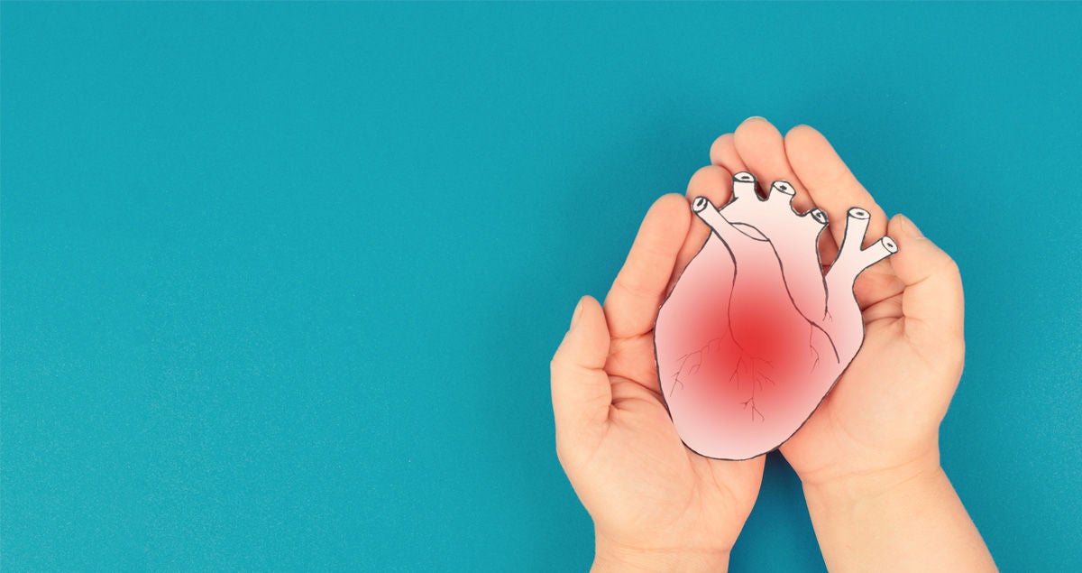 Kinderhände halten ein Papiermodell eines entzündeten Herzmuskels.