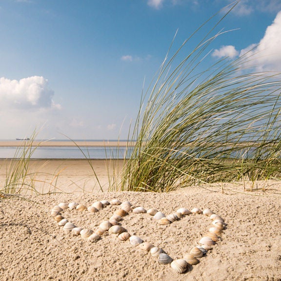 Urlaub: Herzen aus Muscheln am Strand