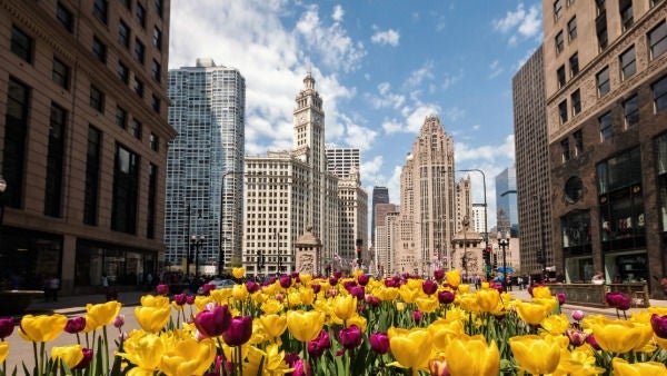 Der ACC.25 findet in Chicago statt.