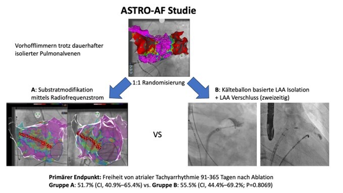 Abb 1 paper of the month Okt 2024
