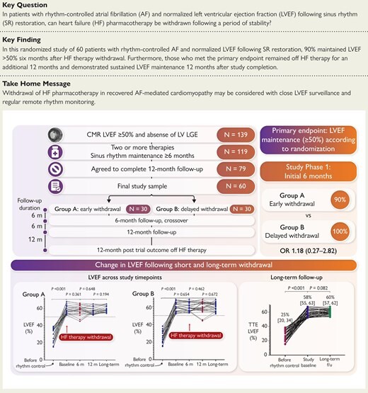 Schaubild WITHDRAW-AF-Studie