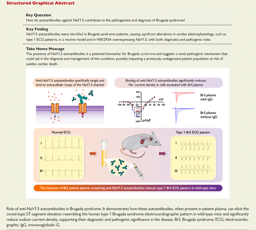 POM  September Grafik 1
