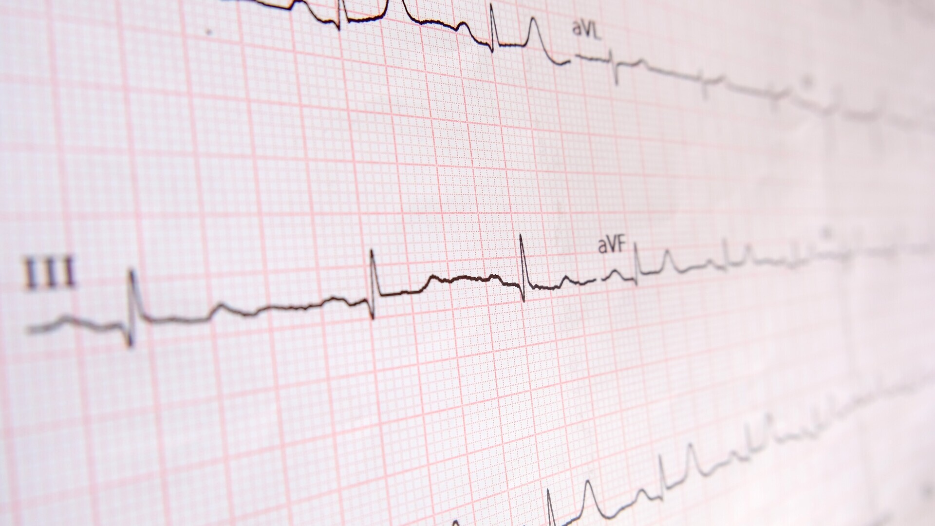 shutterstock_2041379480-16-9