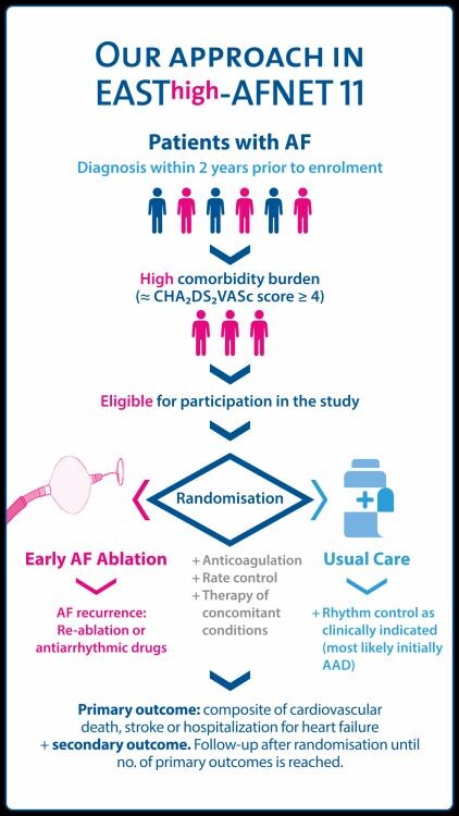 EASThigh-AFNET11_study design_20230119_rgb_klein