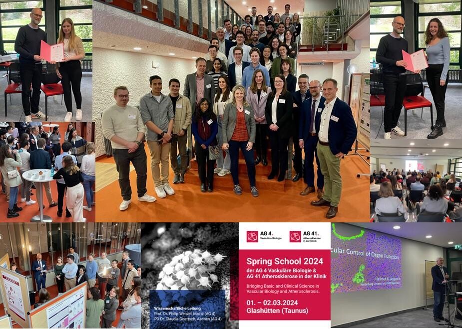 Bildcollage mit Impressionen der Spring School 2024