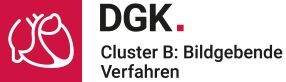 Logo DGK-Cluster B