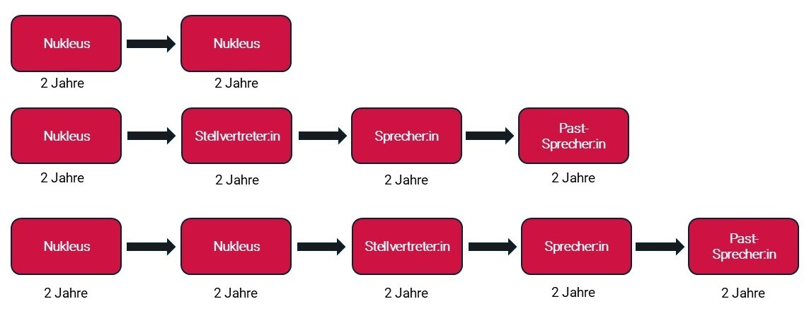 Schaubild Wahlprocedere