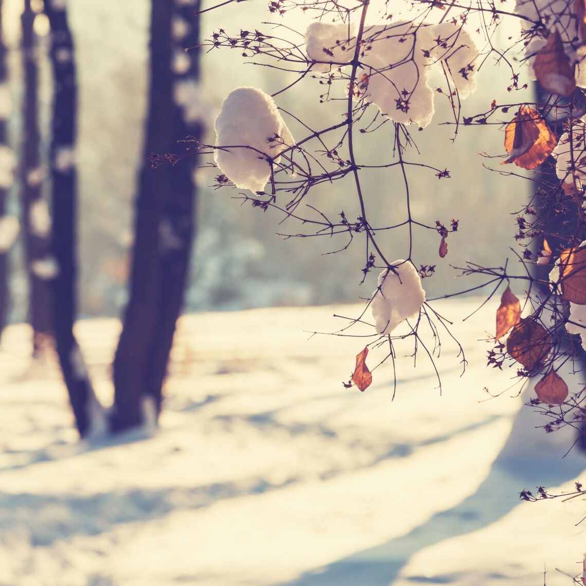 Symbolbild Winter