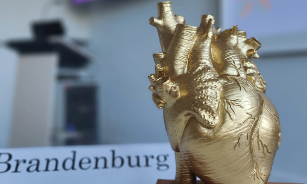 Der Pokal der Kardio-Quiz Night am 12.06.2024 in Brandenburg an der Havel