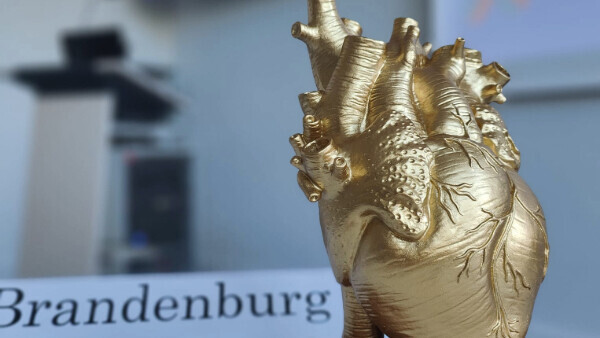 Der Pokal der Kardio-Quiz Night am 12.06.2024 in Brandenburg an der Havel