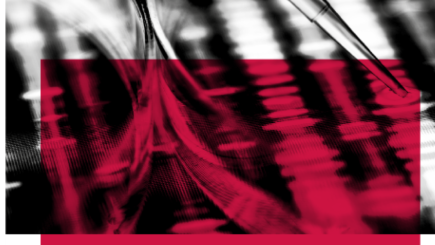 Grafik Rookies Programm