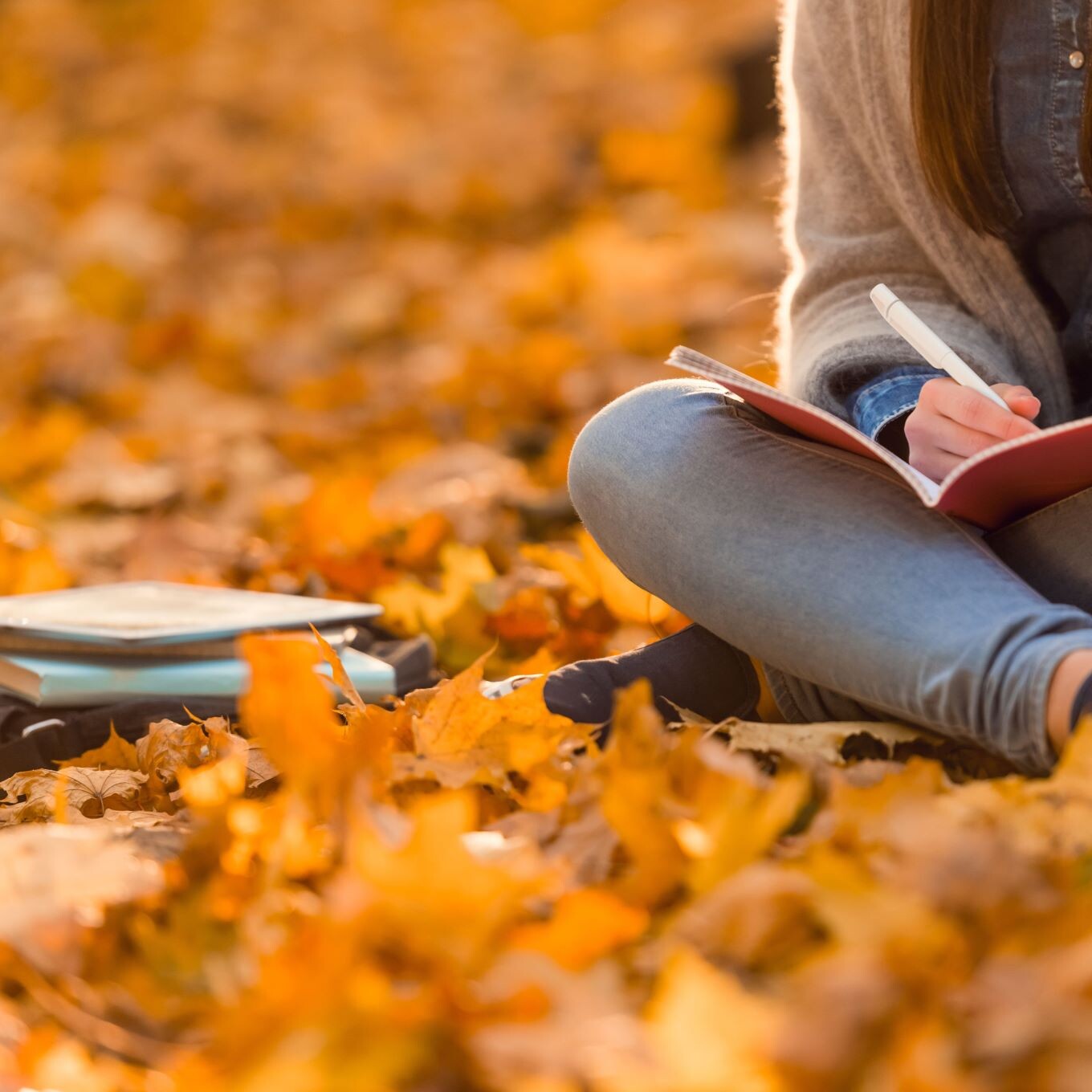 shutterstock-George Rudy_347724335-1-1