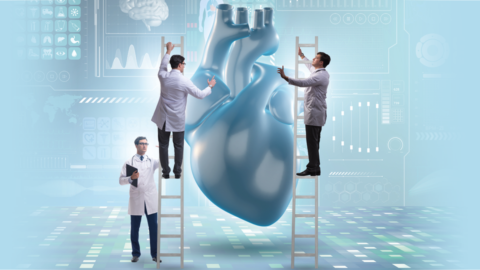 Header-Beitrag-Doenst