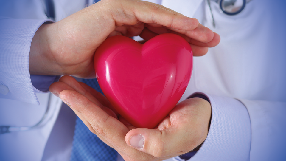 HVC Artikel Baldus und Falk - HEADER