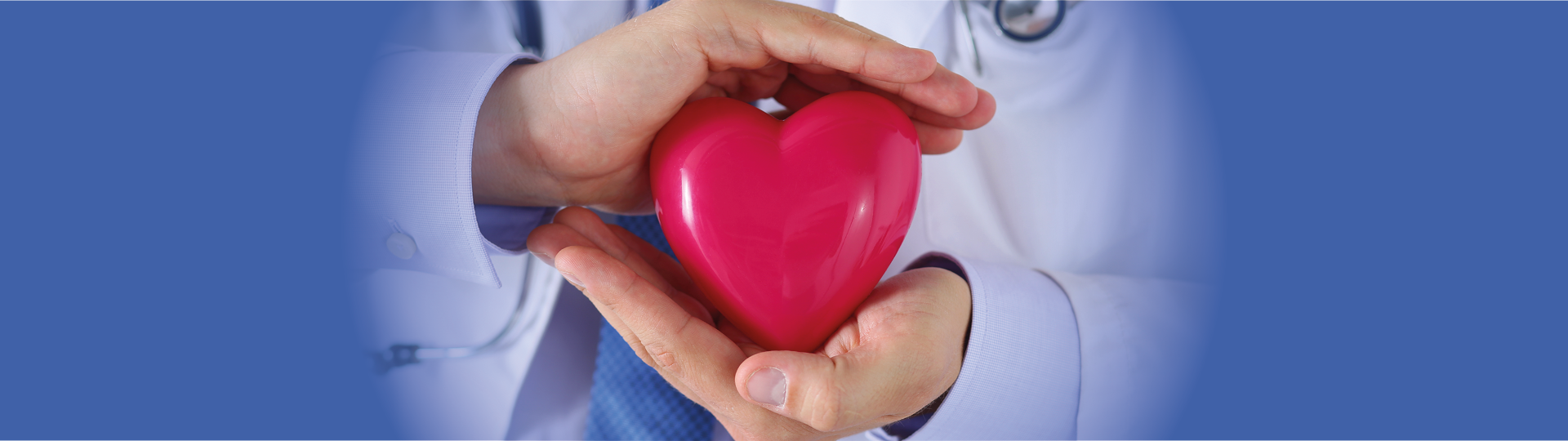 HVC Artikel Baldus und Falk - HEADER