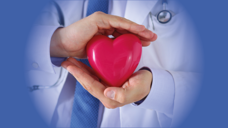 HVC Artikel Baldus und Falk - TEASER