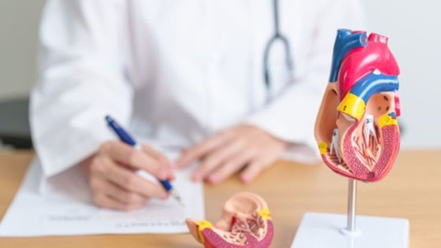 shutterstock_2367703161-16-9