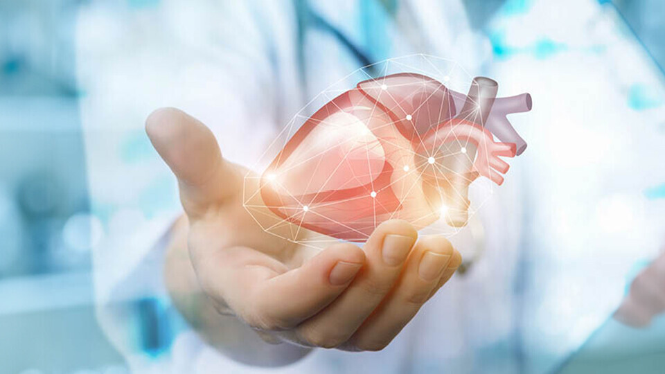 Mortalität-header-1920x540