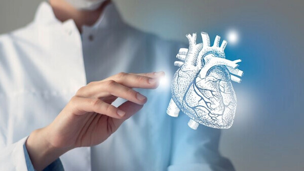 Arzt berührt digitales Herzmodell-16zu9-600x338