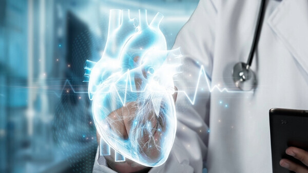 Arzt mit Stethoskop und Klemmbrett berührt Herzhologramm-16zu9-600x338