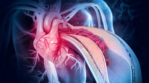 Detaillierte Herz-Grafik-16zu9-600x338