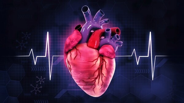 Metaanalyse-16zu9-600x338