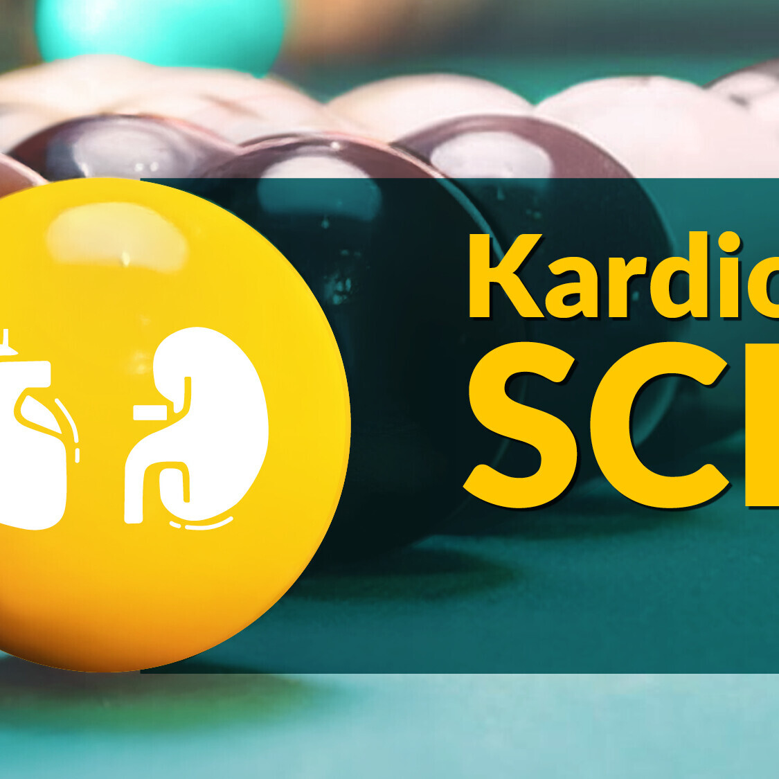 PBI_JAI_25012_BII_Kardiorenale_Achse_1920x540px1