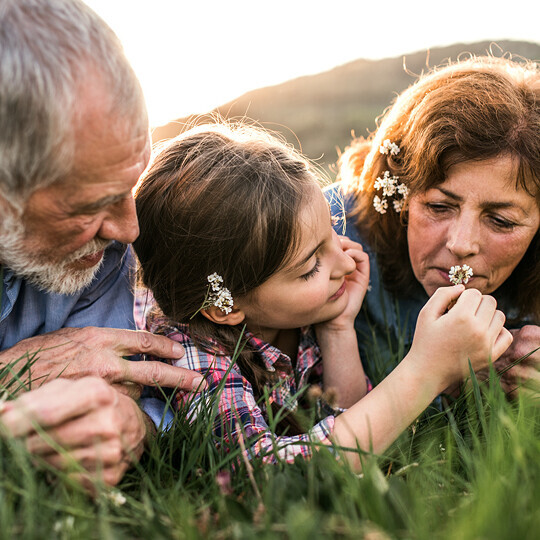 Kind liegt mit Großeltern auf einer Wiese