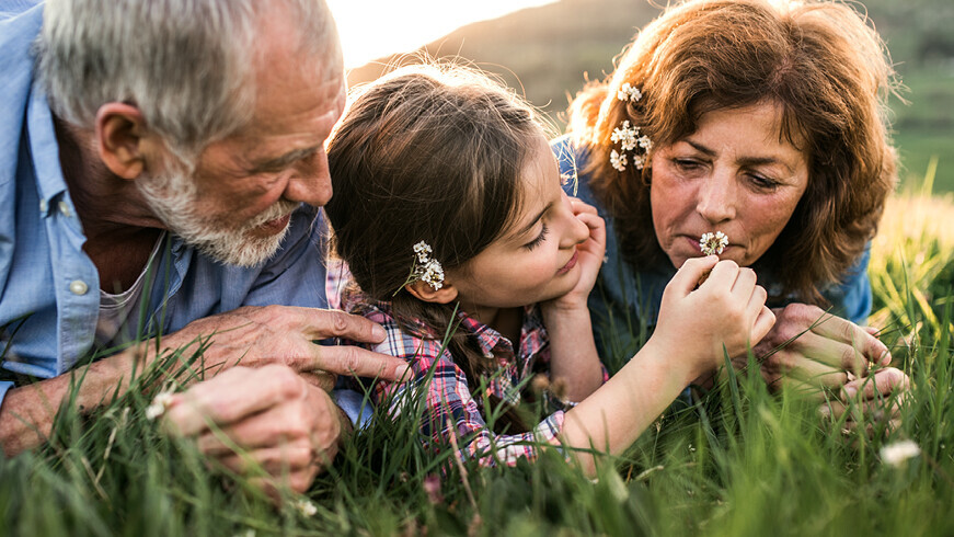 Kind liegt mit Großeltern auf einer Wiese