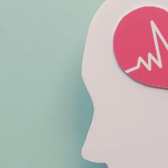 Zwei Hände halten die Figur eines Kopfes, auf dem ein Herz mit EKG-Linien abgebildet ist