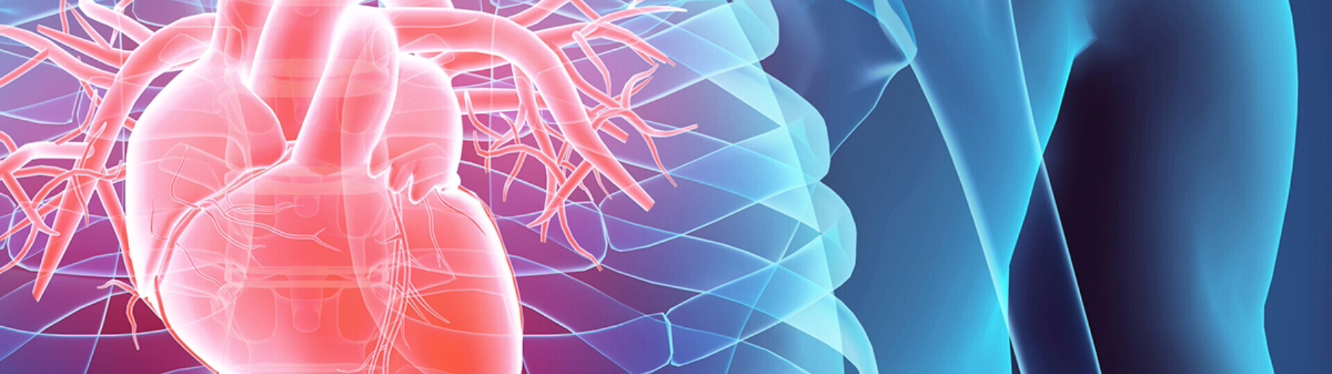 vorhofflimmern-header-32zu9-1920x540