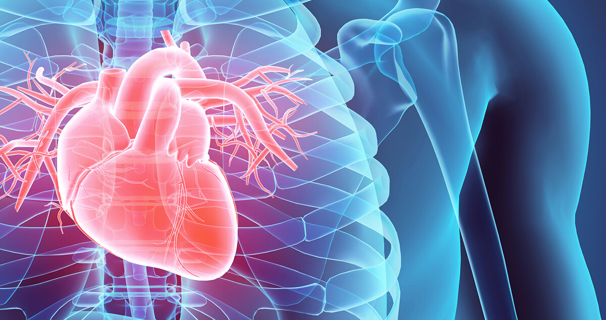 vorhofflimmern-herzrhythmusstoerung-iStock-530199842-sb