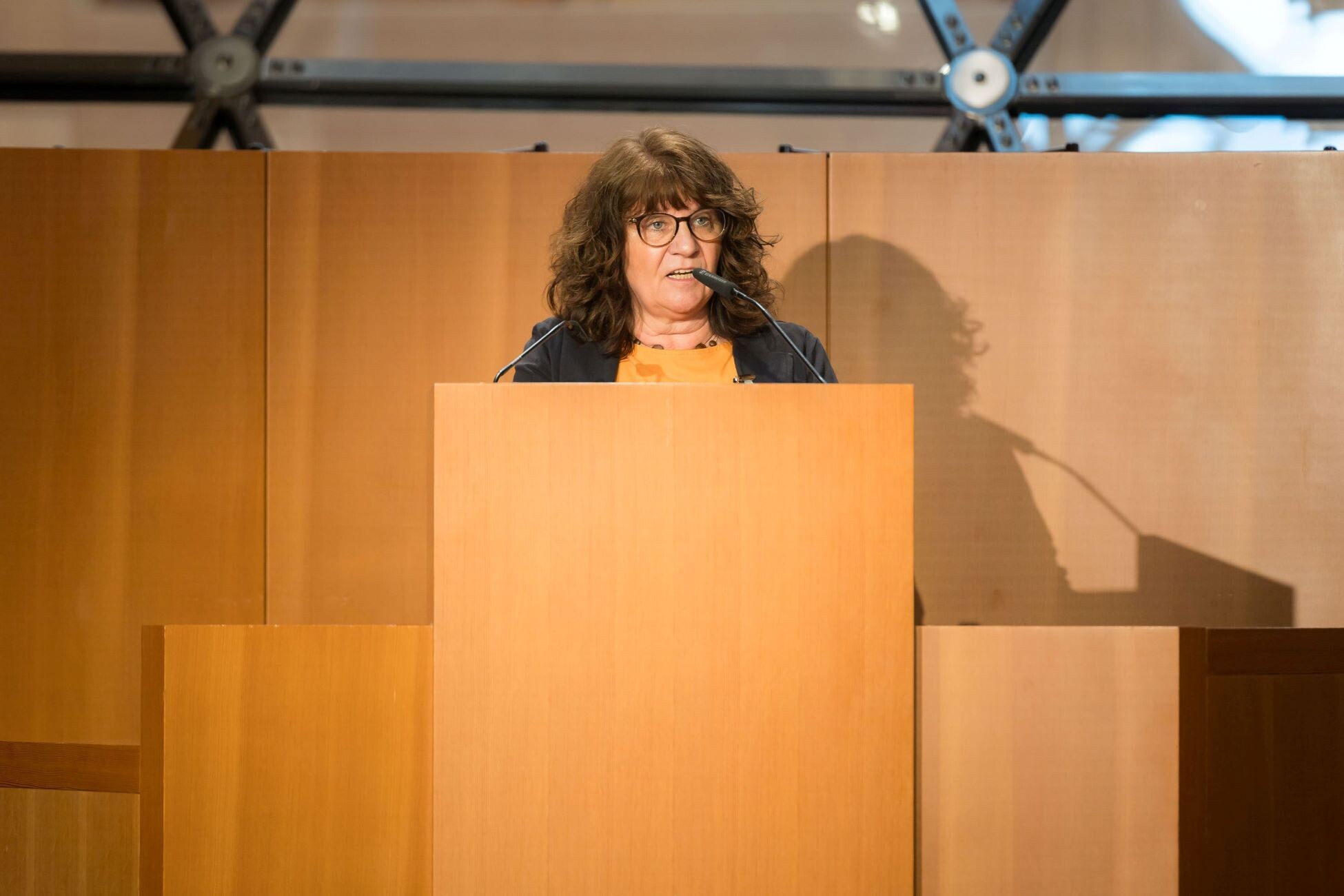 Stamm-Fibich-SHD-Coalition