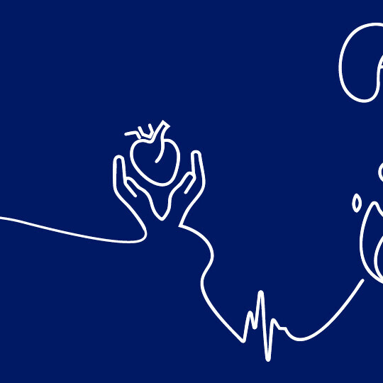 Header_Website_Herzmedizin_20250721