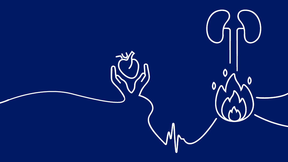 Header_Website_Herzmedizin_20250721