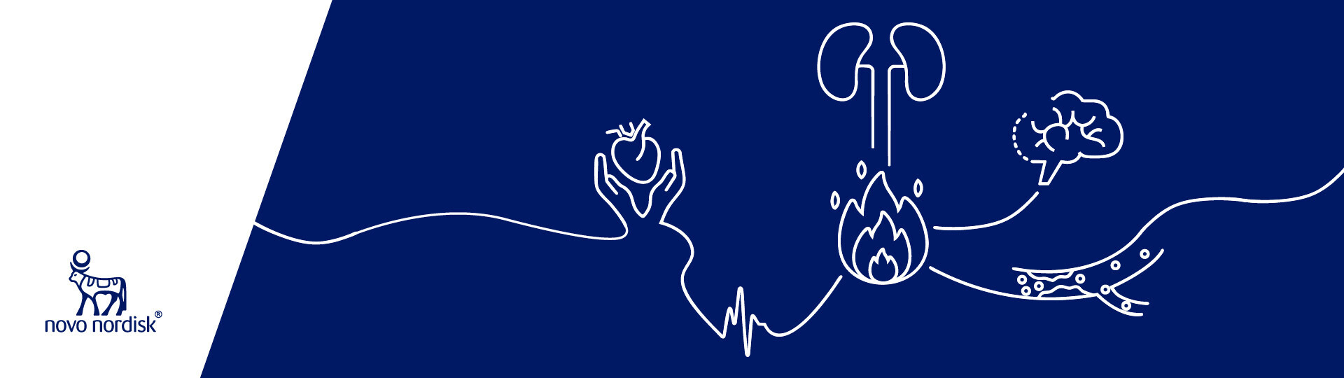 Header_Website_Herzmedizin_20250721