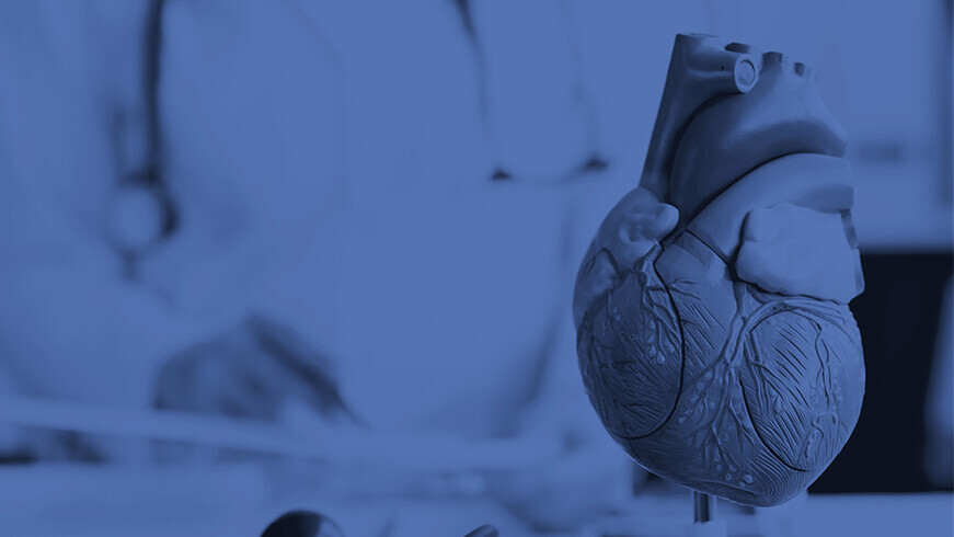 cardio-refresher-Künstliches-Plastikmodell-eines-menschlichen-Herzens-vor-dem-Hintergrund-einer-Nahaufnahme-eines-Kardiologen-H_Ko-stock.adobe.com-482640125-16