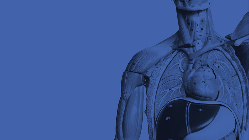 vorbereitungpru╠êfung-871x490