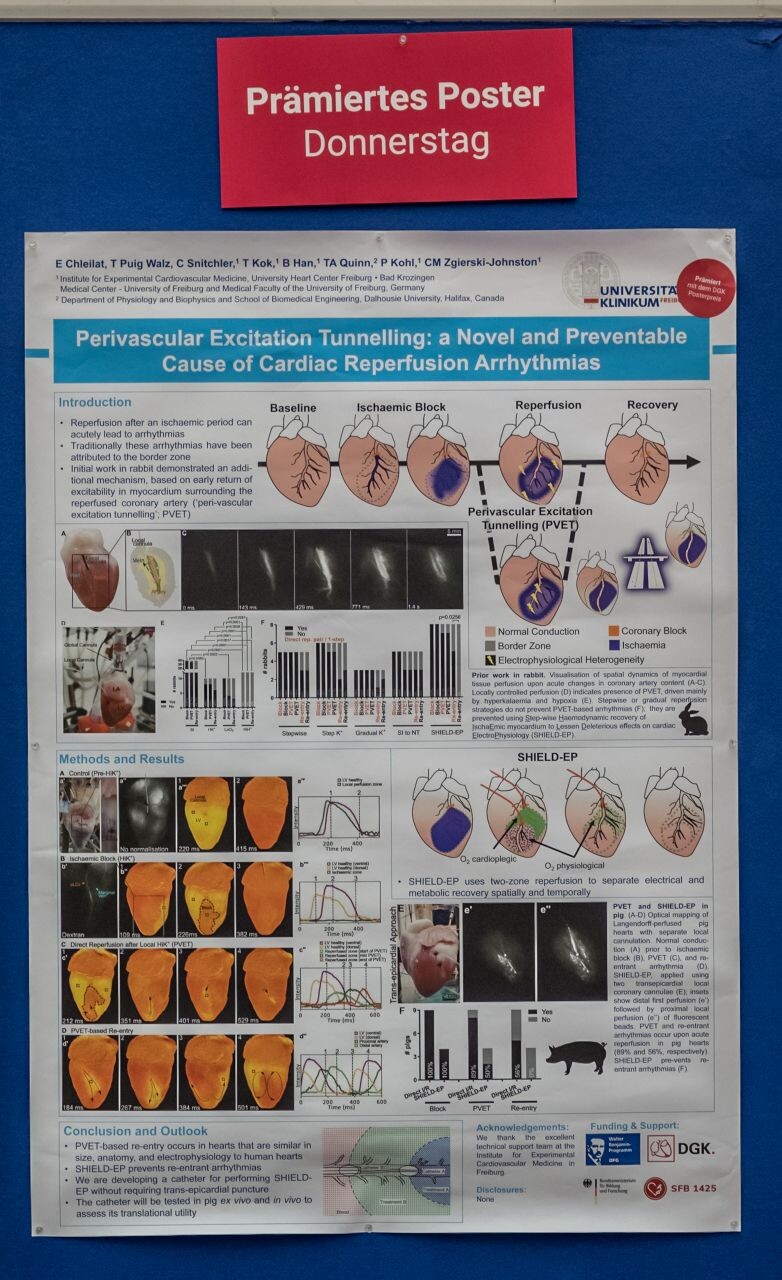 dgk-posterpreis_2025_nominiertes_poster_donnerstag_1_782x1280