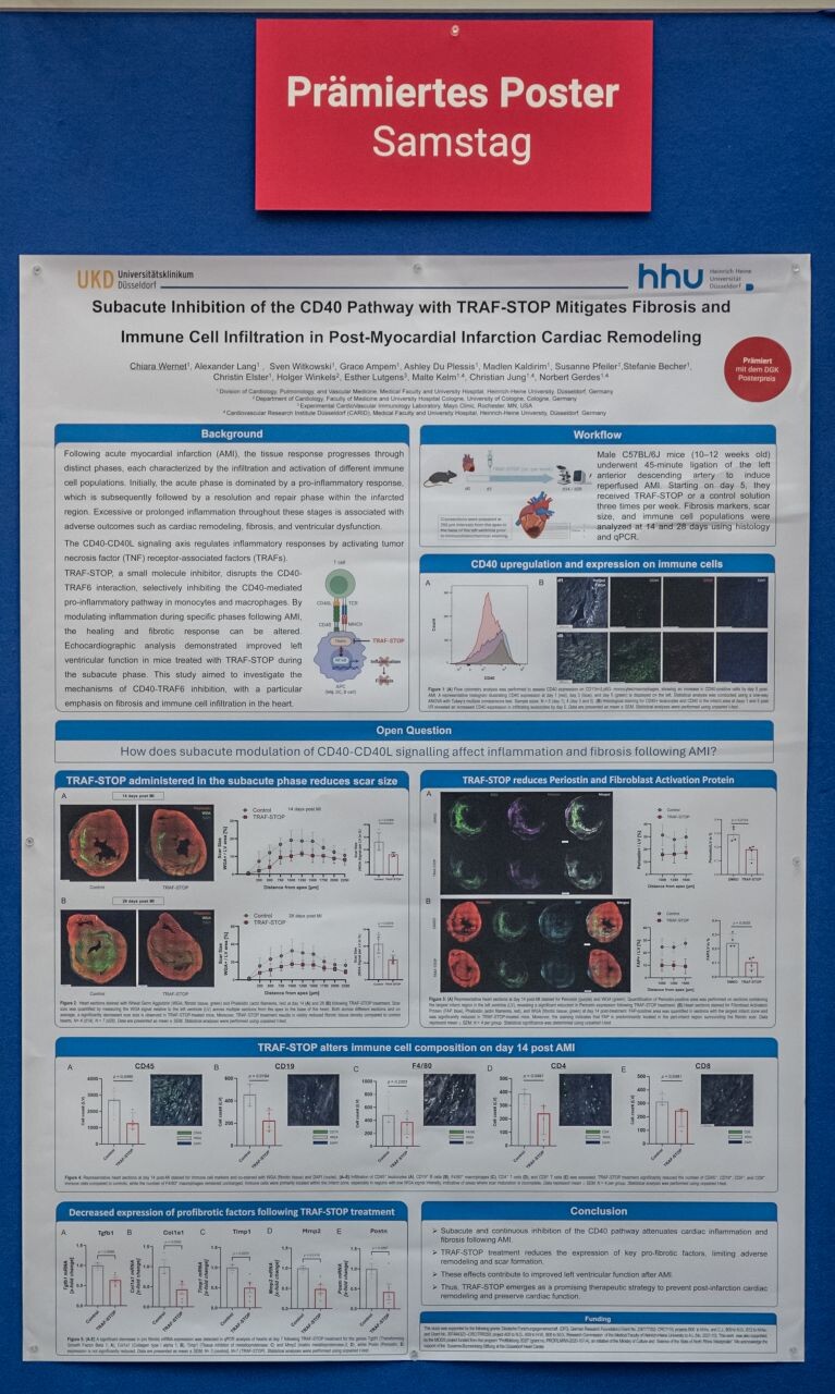 dgk-posterpreis_2025_nominiertes_poster_samstag_1_767x1280