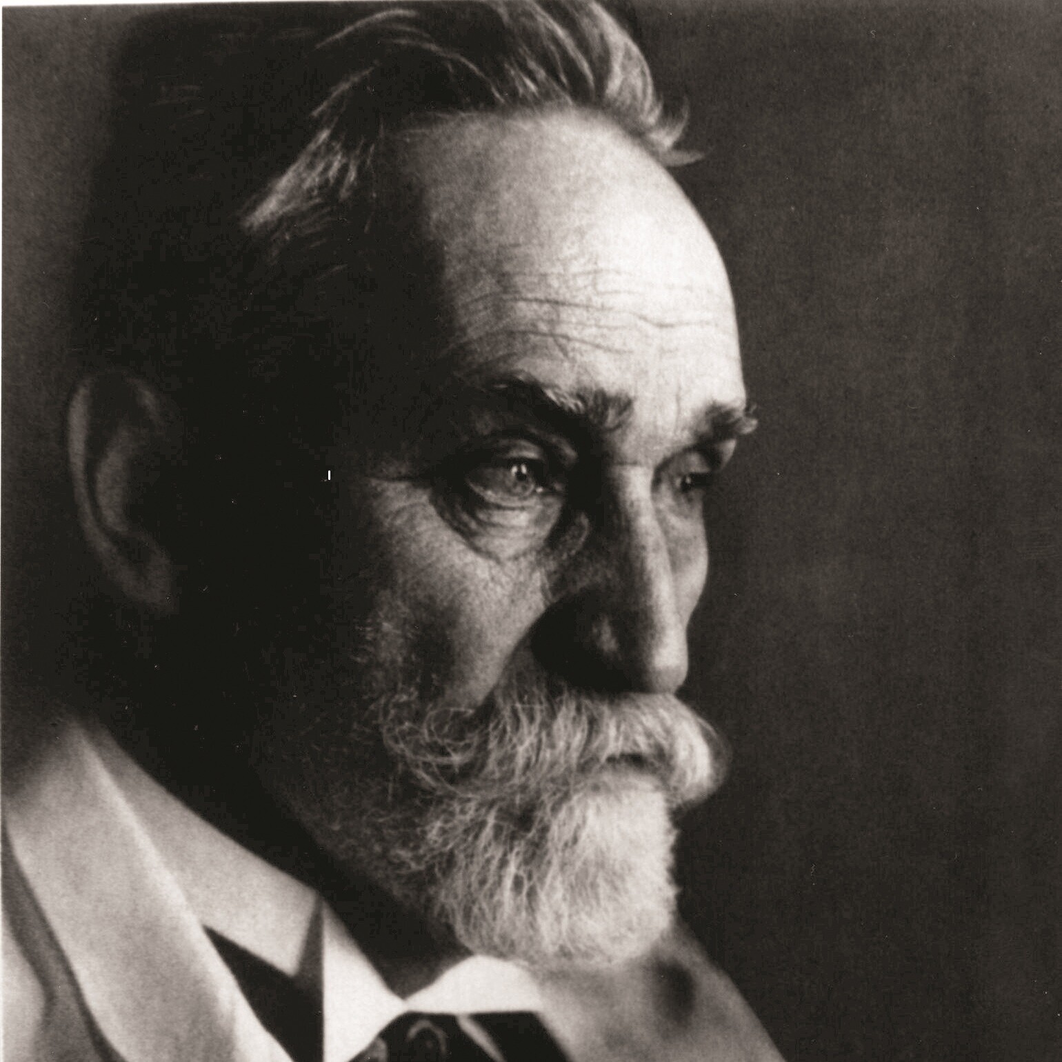 Albert Fraenkel
