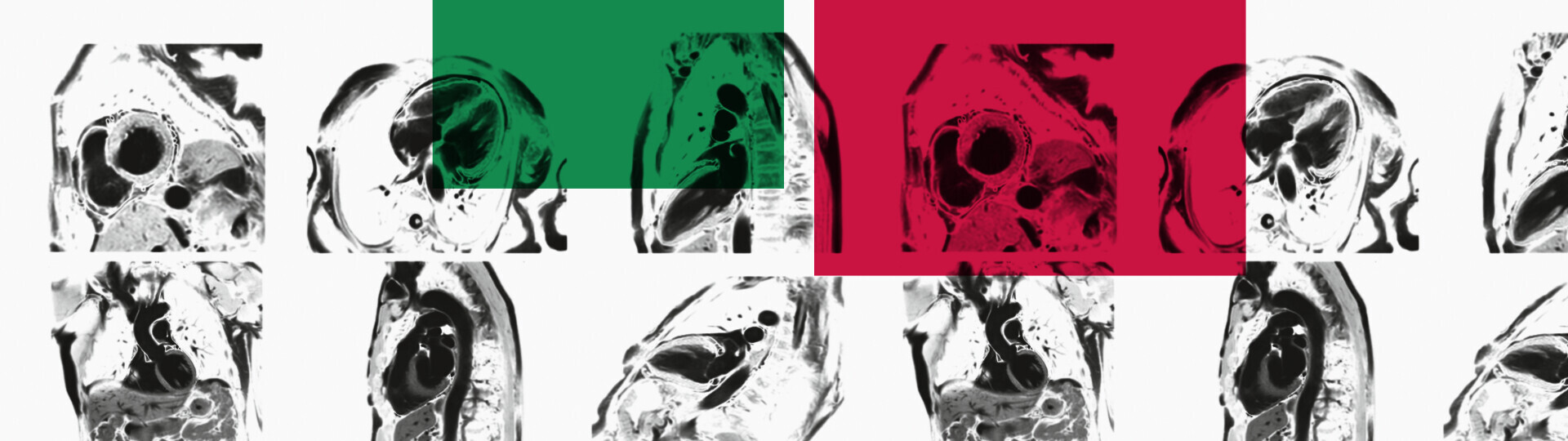 dek2024-hkm-1920x540