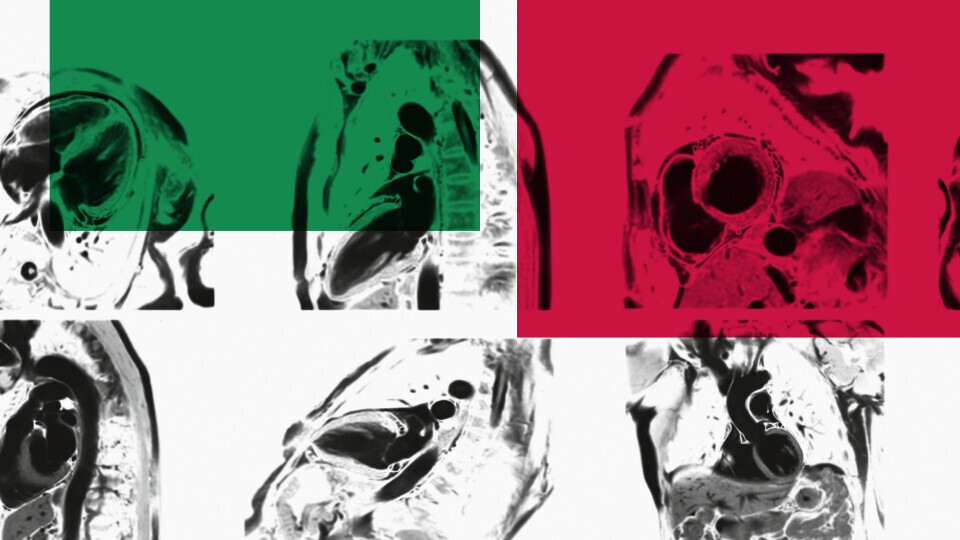 dek2024-hkm-1920x540